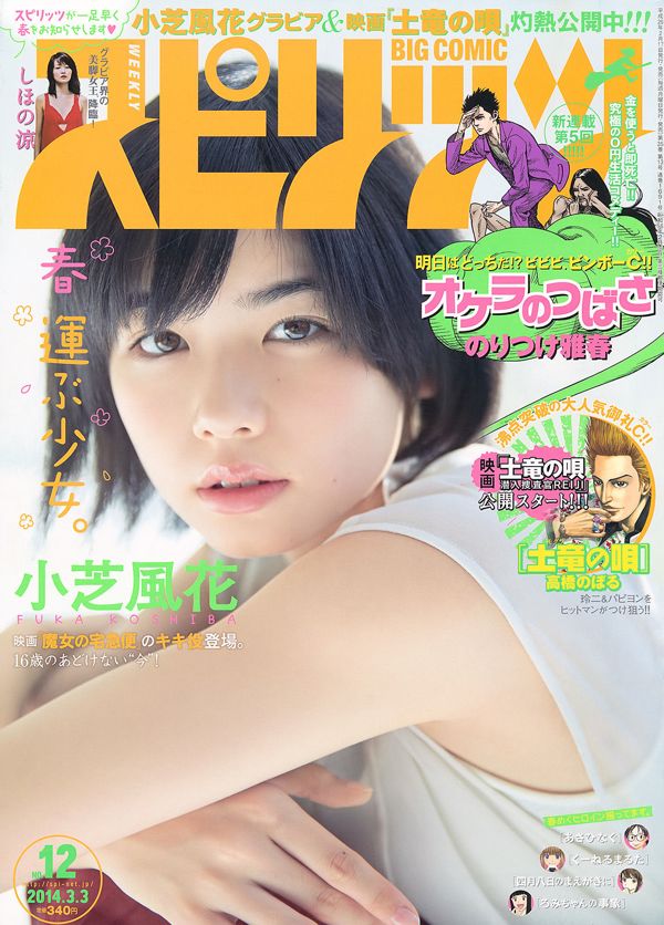 [Weekly Big Comic Spirits] Xiaoshiba Fuhua Ryo Shihono 2014 nr 12 Photo Magazine