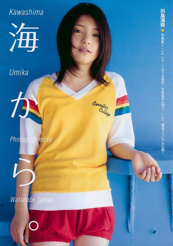 ดอกบัวทะเลคาวาชิมะ Takizawa Nominami Yamamoto Hikaru Hikari Mitsushima Miyazawa Sae [Weekly Playboy] 2010 No.07 Photo Magazine